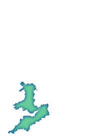 NGIS Incident Map