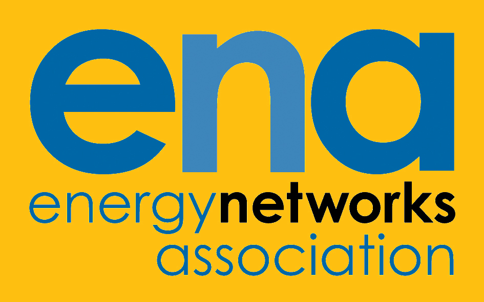ENA Logo