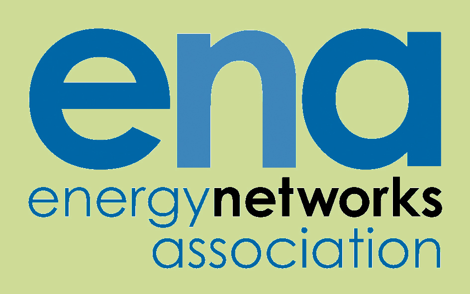 ENA Logo