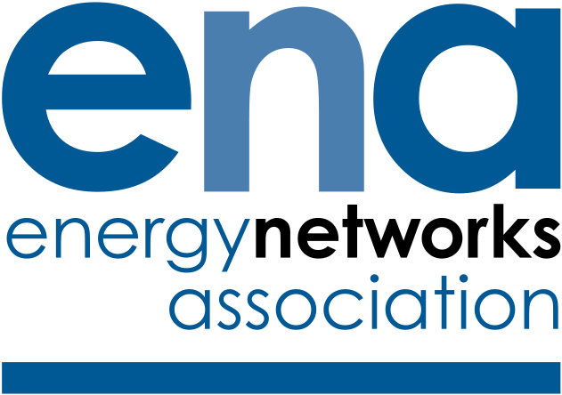 ENA Logo